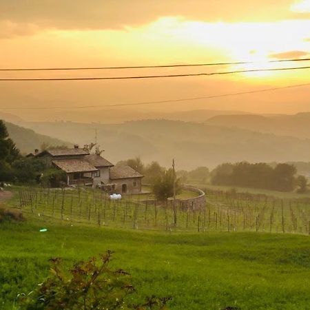 Fattoria Branciana Rossena Exterior foto