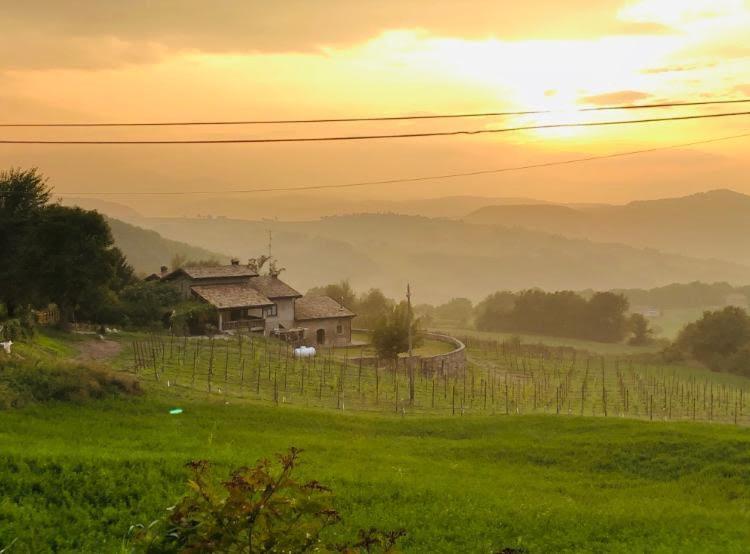 Fattoria Branciana Rossena Exterior foto